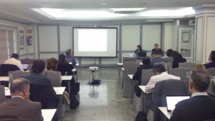 Jornada Anual de Trabajo sobre la Herramienta y las Estadísticas de Mercado de AFEC