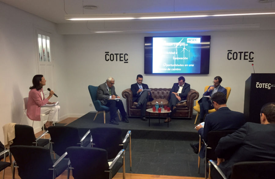 Segunda mesa redonda, moderada por Pilar Budí, Directora de AFEC