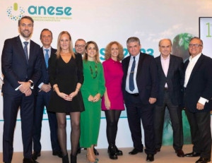 ANESE